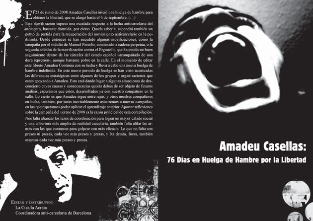 Amadeu casellas